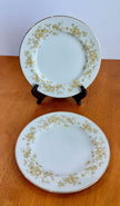 Vintage Set of 2 Majestic China Meredith 305 Bread and Butter Plates Japan Floral