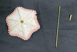 RETIRED LLADRÓ Afternoon Promenade 7636 Society Piece of 1995 with Original Box